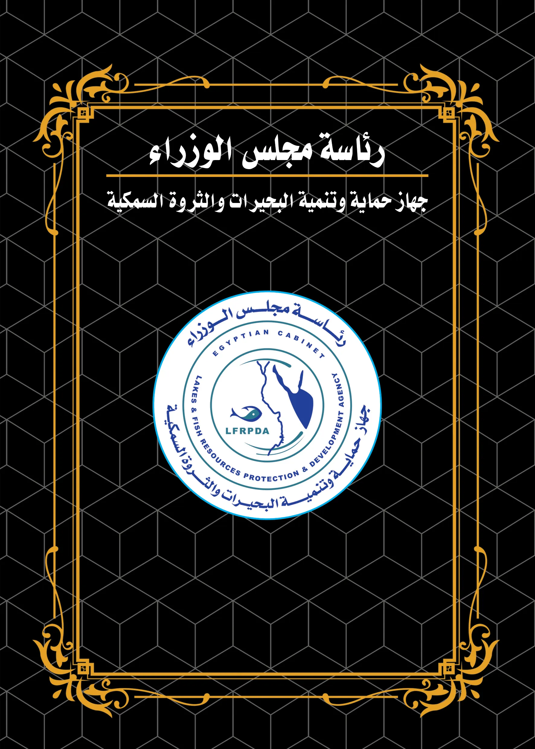 Slide Image 4